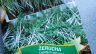 Žerucha