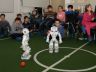Futbal