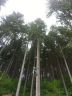 Škola v prírode 17.-21.5.2015