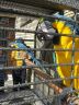 Slovenský raj 22.-26.5.2016