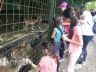 VI. B v ZOO