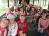 Mravčekovia v ZOO