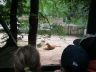 Mravčekovia v ZOO