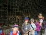 Mravčekovia v ZOO
