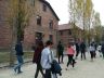 Exkurzia Oswienčim - Krakow