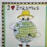 Logo projektu Erasmus