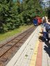 Zajačiky a Žabky v škole v prírode