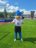 Futbalový turnaj žiakov a žiačok  - Cesta do KFA