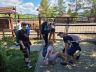 ZOO