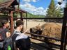 ZOO