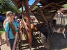 ZOO