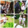Festival rastlín a kvetov