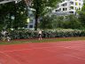 IMG_2553.jpeg