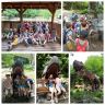 2.M v ZOO