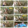 2.M v ZOO