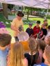Zlatá horúčka u Včielok